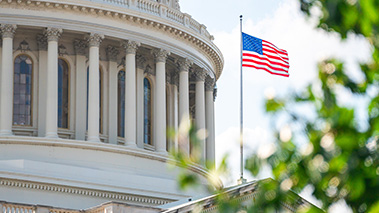 Litigios y apelacion